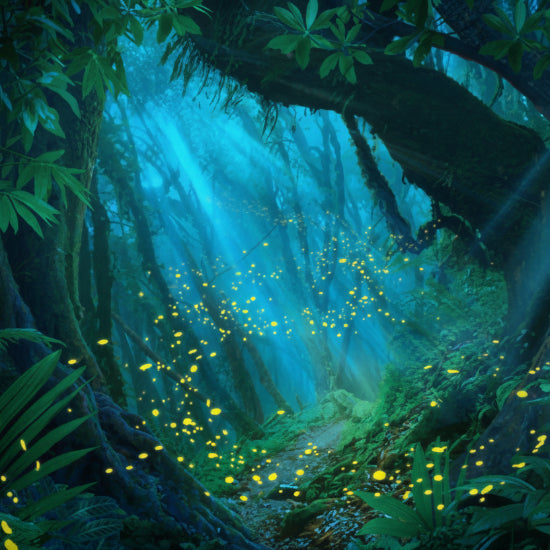 Dense forest with sunlight filtering through the trees and glowing insects.