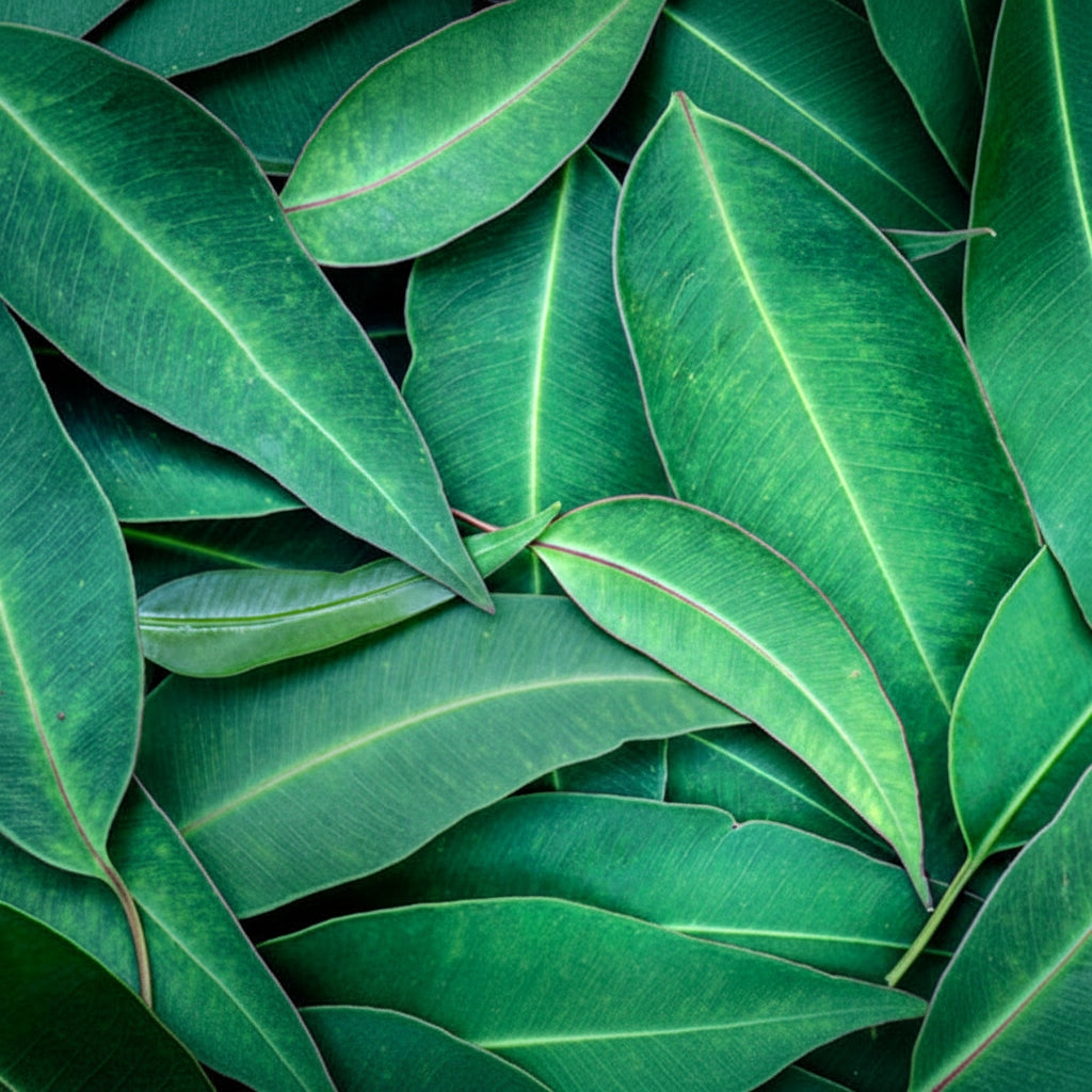 Close-up of green leaves with a focus on texture and color.