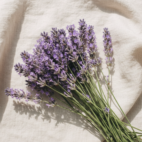 Bouquet of lavender on a pale linen background.
