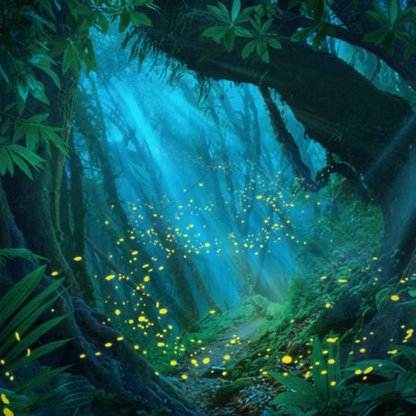 Dense forest with sunlight filtering through the trees and glowing insects.