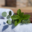Close-up of green leaves on a textured surface with a blurred background