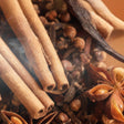 Close-up of cinnamon sticks, star anise, and vanilla beans.