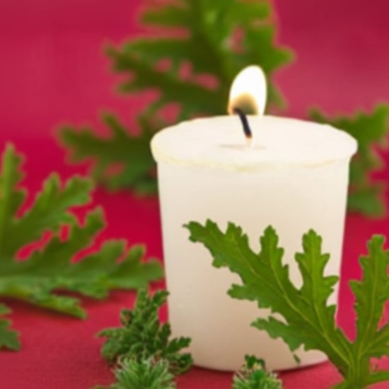 White candle with a lit wick surrounded by green leaves on a red background