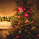 Festive Fraser fir Fragrance Oil