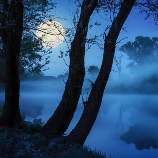 Moonlit night over a calm lake with trees reflected in the water