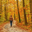 Person walking a dog through a colorful autumn forest