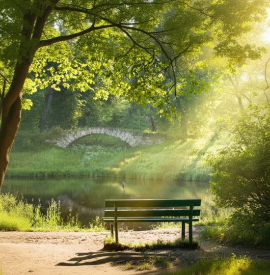 Bench by a lake with a stone bridge and greenery in a park