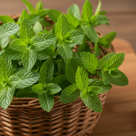Green leaves in a woven basket on a wooden surface