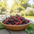 bowl of freshly picked mulberries on a bright sunny, summer day