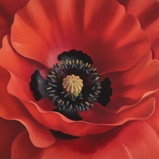 georgia o'keeffe style Poppy Blossom