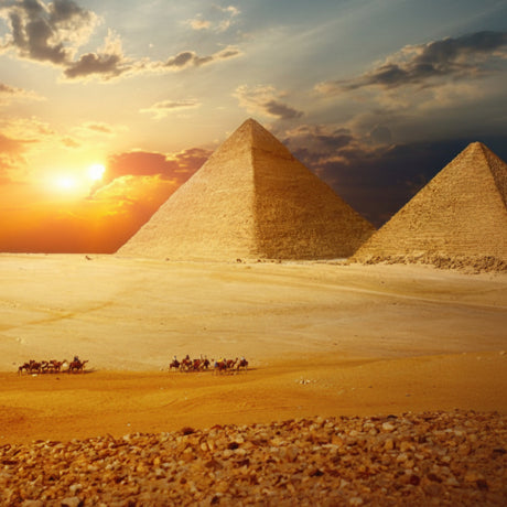 Pyramids of Giza with camels at sunset in the desert