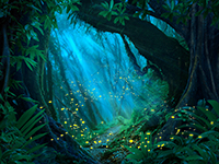 Blue Rainforest