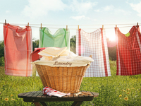 Country Clothesline