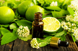 Lime Essential Oil, 2 oz, Certified 100% Pure