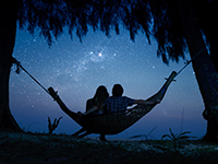 Summer Nights