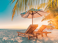 Caribbean Type