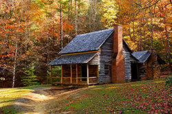 Cozy Cabin Type