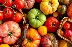 Vine Ripe Tomato