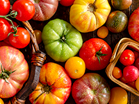 Vine Ripe Tomato