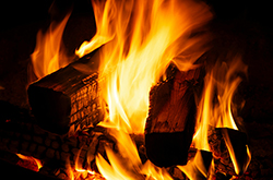 Firewood