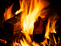 Firewood