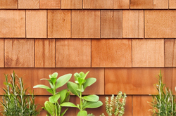 Red Cedar Type