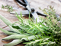 Rosemary Sage